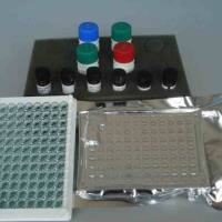 牛口蹄疫抗体检测试剂盒