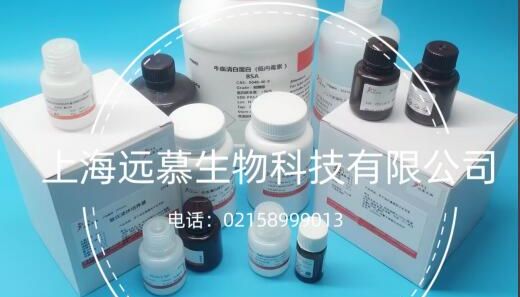 植物cDNA合成的原理和操作步骤