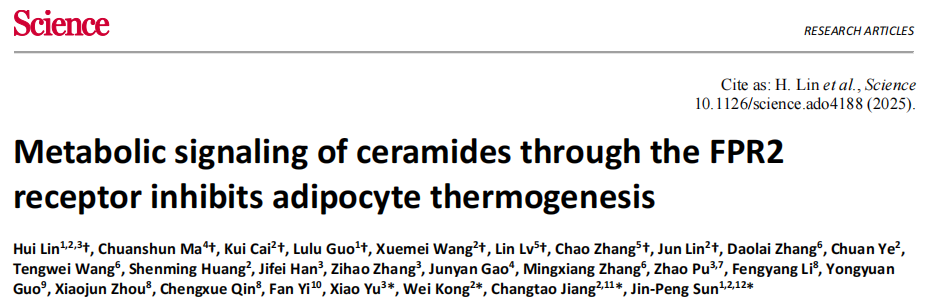 孙金鹏、姜长涛、孔炜又又又登顶刊！Nature余热未尽，Science揭秘神经酰胺和FPR2受体竟是脂肪代谢 “操控大师”