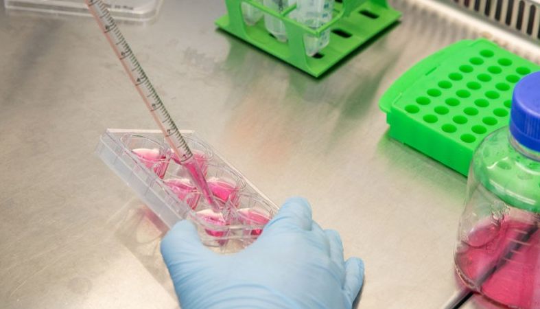 QKine新推出干细胞分化和培养因子试剂套装