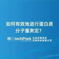 如何有效地进行蛋白质分子量测定？