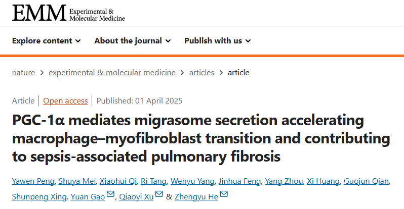 【2025年第5期】迁移体：肺部健康的“幕后功臣”还是“捣乱分子”？