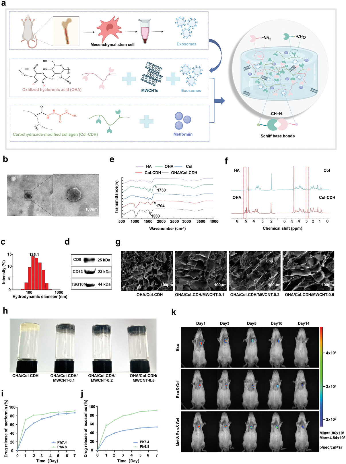 外泌体技术服务 外泌体技术服务