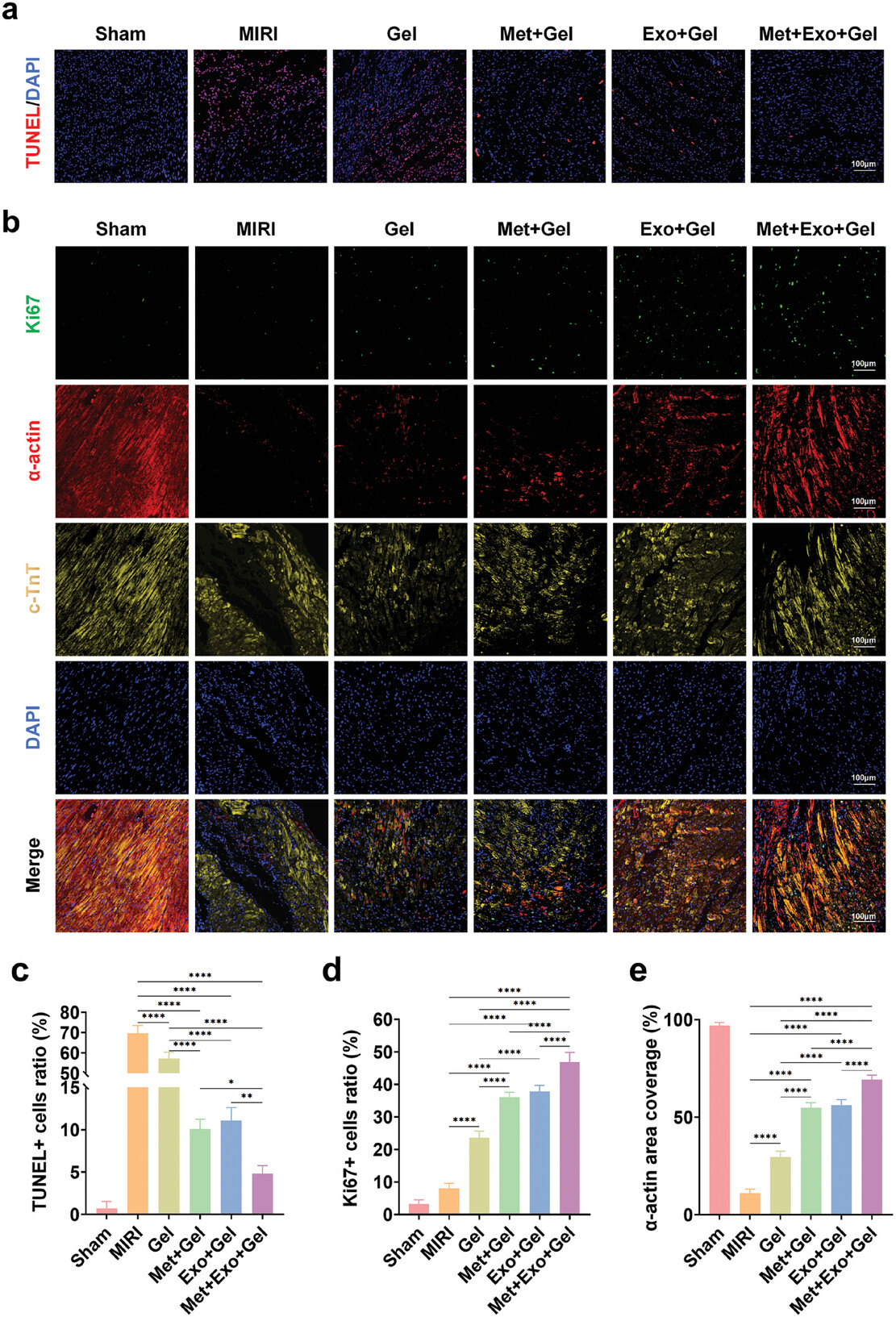 外泌体技术服务 外泌体技术服务