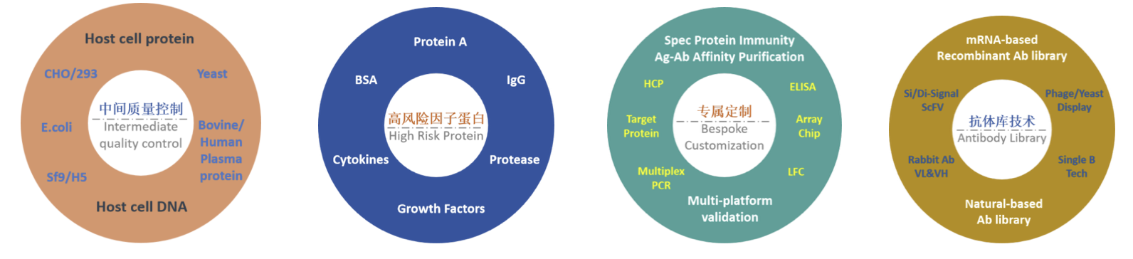 关税风暴下，如何从“备选项”升级为“必选项”‌！