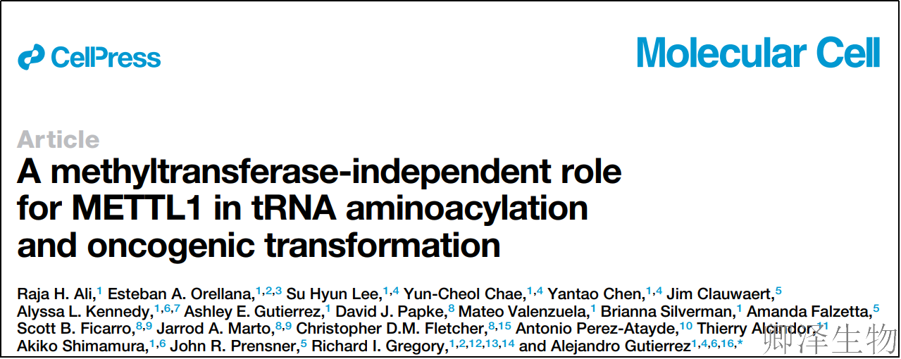 【Polysome技术文献】 癌症研究新突破！METTL1竟以“非酶功能”驱动肿瘤生长