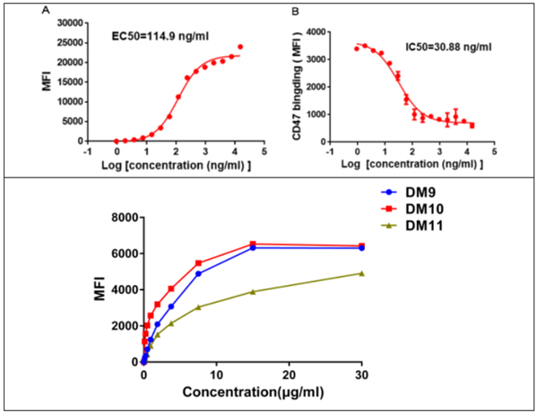 DIMA BIOTECH-DIMA单克隆抗体兔单克隆抗体实验必备低价购