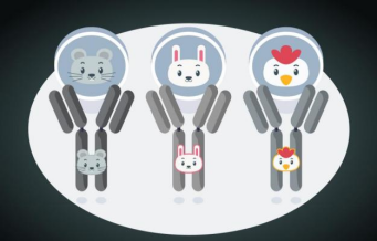 纳米二抗实现快速三标四色mIHC