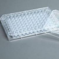 超低吸附培养板对标格瑞纳、赛默飞 384孔细胞培养板,黑底黑板