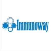 FGFR1 (PT0207R) PT® Rabbit mAb