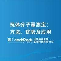 抗体分子量测定：方法、优势及应用