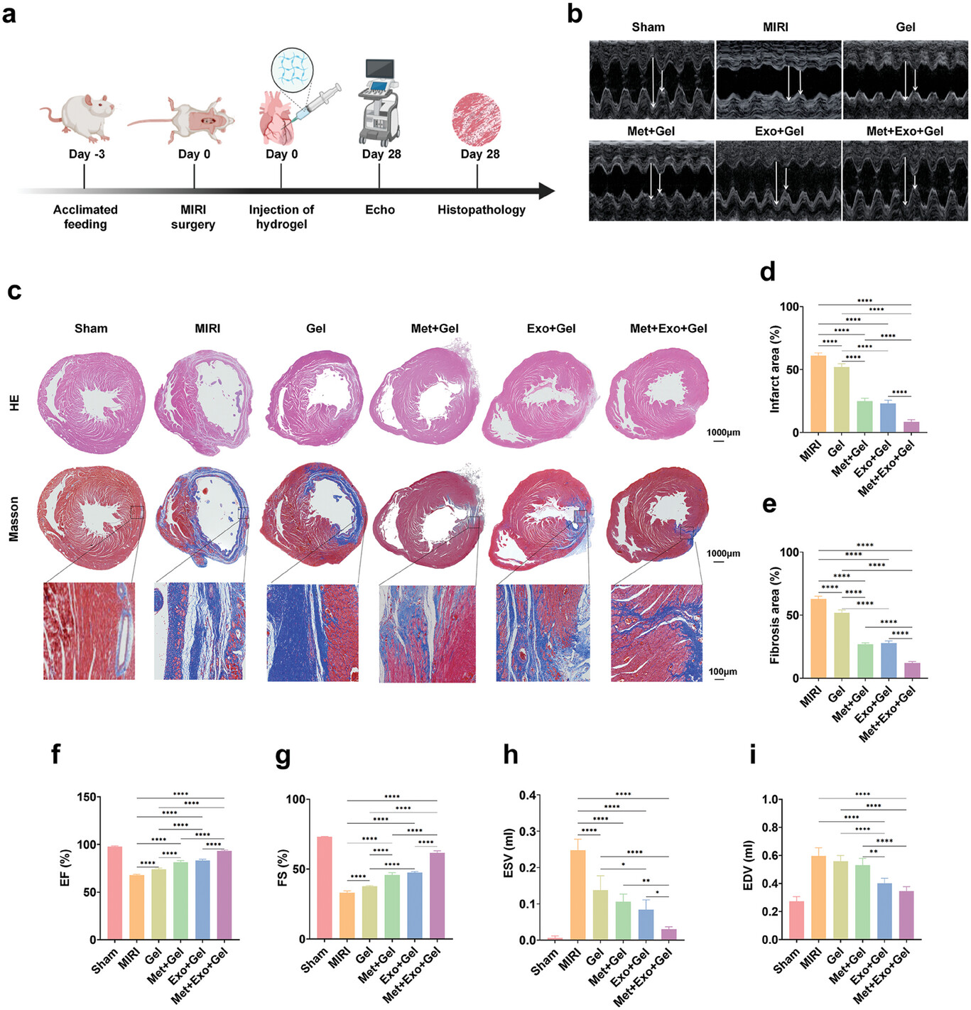 外泌体技术服务 外泌体技术服务
