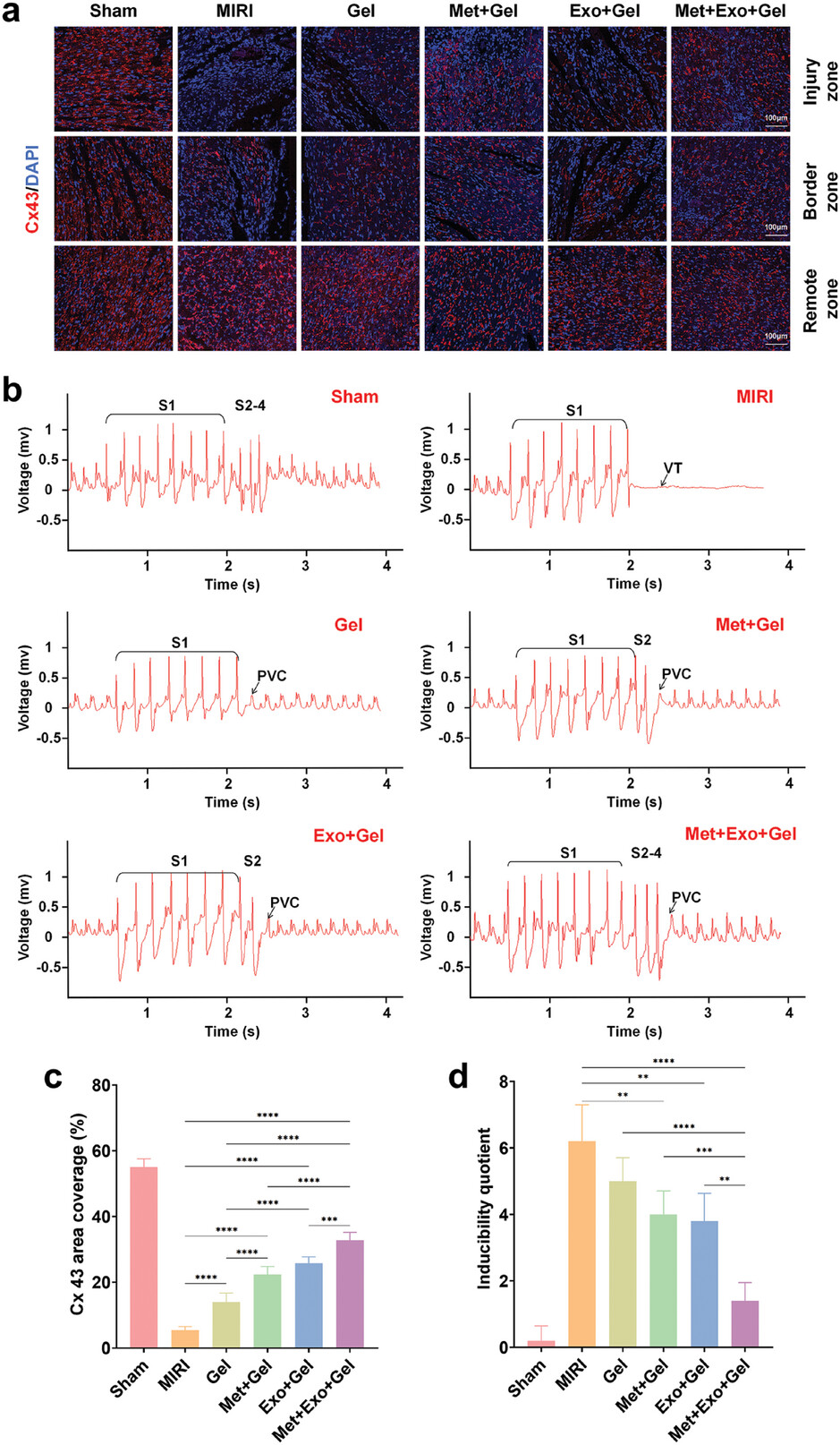 外泌体技术服务 外泌体技术服务