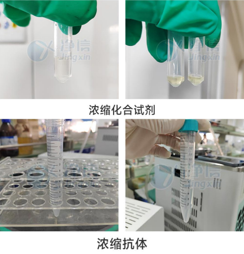 净信真空离心浓缩仪药物蛋白溶剂去除样品浓缩JX-ZLN-C