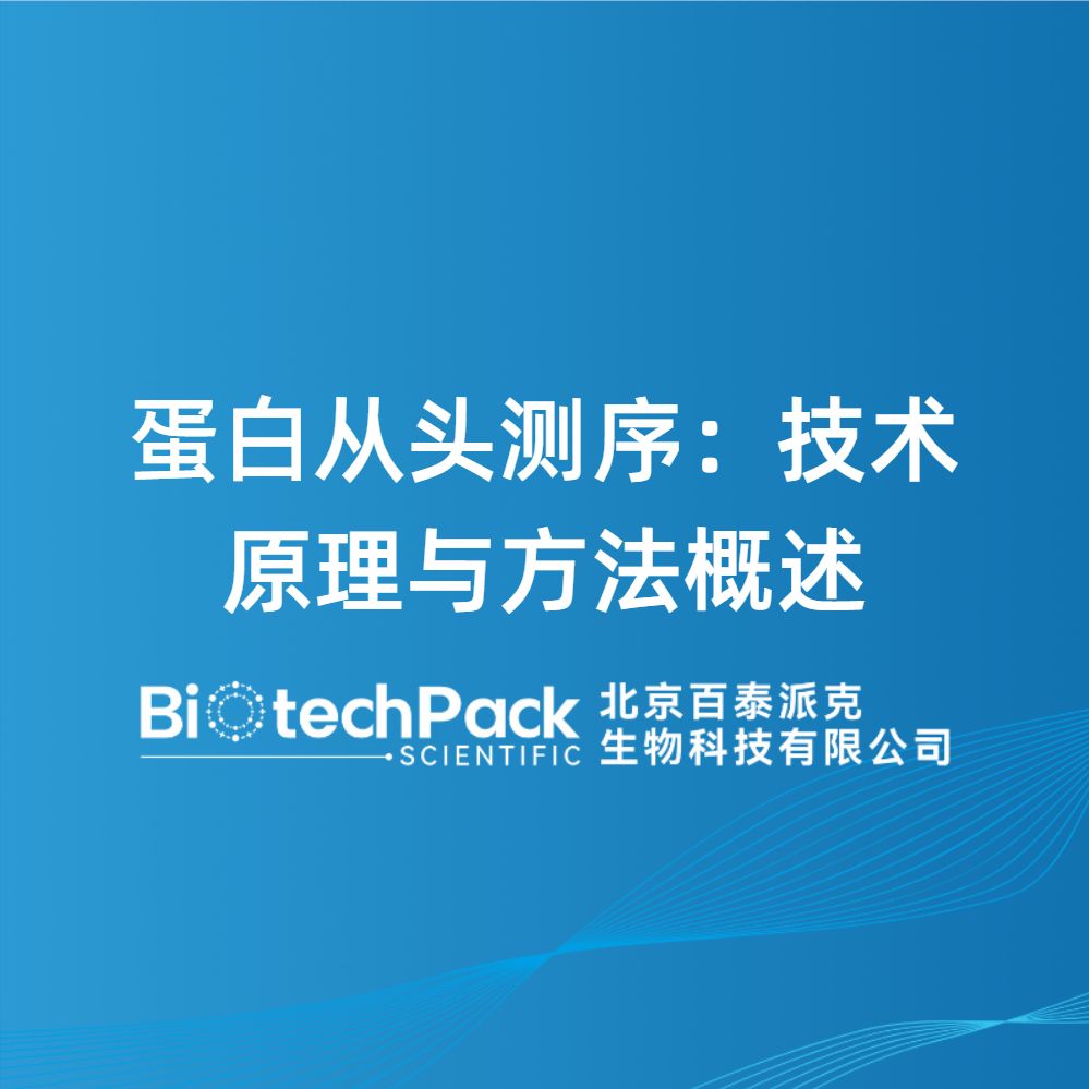 蛋白从头测序:技术原理与方法概述