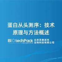蛋白从头测序：技术原理与方法概述