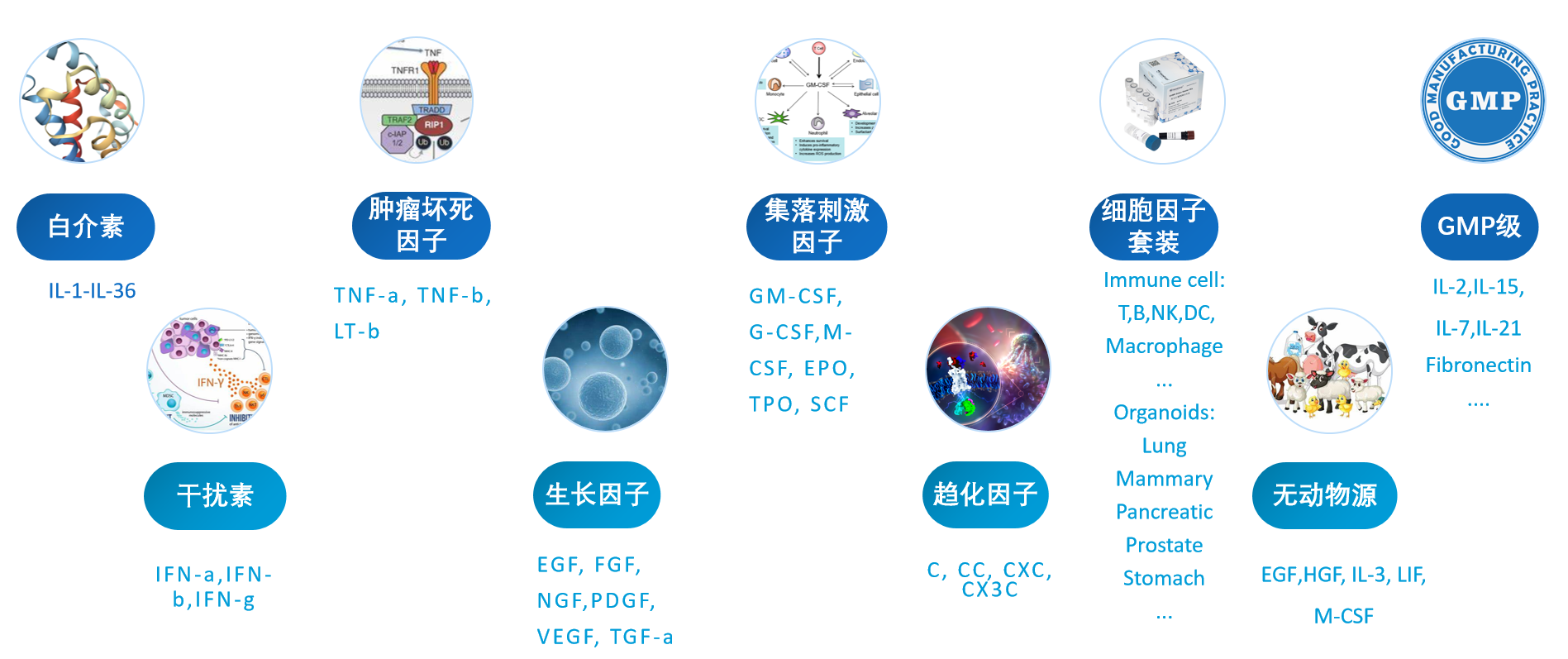 应对关税波动丨别慌！这份国产蛋白替代清单请收好！
