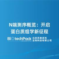 N端测序概览:开启蛋白质组学新征程