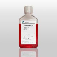 小鼠肺动脉内皮原代细胞完全培养基