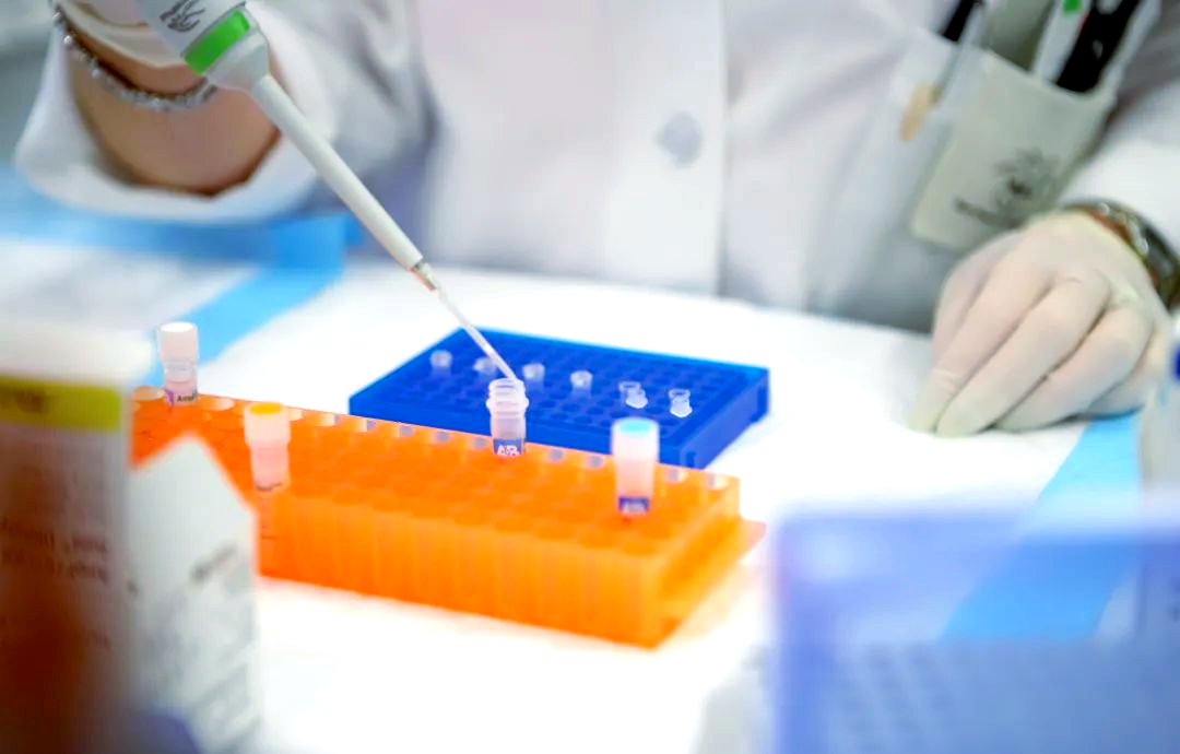 单纯疱疹病毒I型重组抗原；单纯疱疹病毒ll型重组抗原；单纯疱