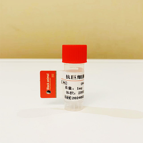 巨细胞病毒重组抗原;巨细胞病毒抗原;巨细胞pp65抗原;巨细