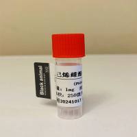 己烯雌酚单克隆抗体；己烯雌酚抗体；Diethylstilbestrol （DES）抗体