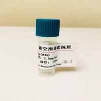 幽门螺旋杆菌(Hsp58)重组抗原；幽门螺旋杆菌(CagA)重组抗原；幽门螺杆菌空泡毒素（VacA）抗原；幽门螺杆菌抗原