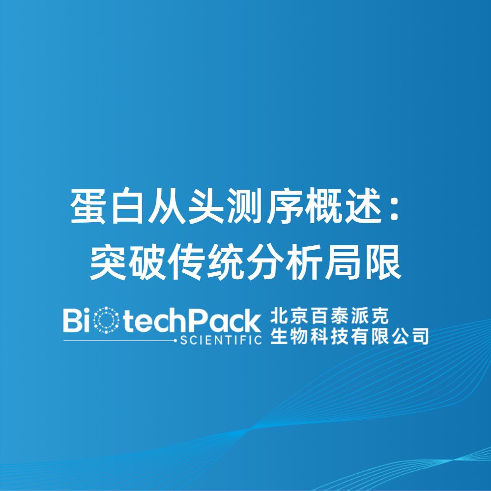 蛋白从头测序概述:突破传统分析局限