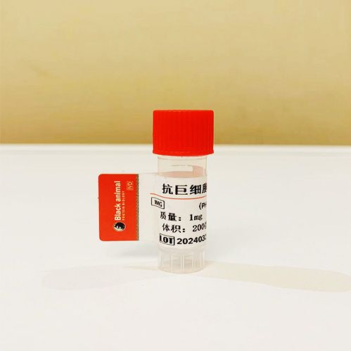 巨细胞病毒重组抗原;巨细胞病毒抗原;巨细胞pp65抗原;巨细胞IE1抗原;巨细胞gB抗原;CMV-Ag