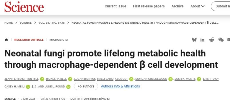 Science：胰岛巨噬细胞-肠道真菌调控胰岛β细胞发育