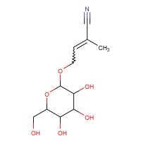 Rhodiocyanoside A|168433-86-1