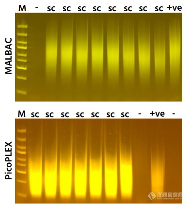 单细胞可视化分选系统——isoPick