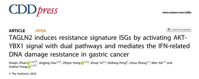 Tissue Cytometry技术辅助发现抵抗胃癌相关DNA损伤的新途径