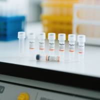 人绒毛膜促性腺激素（HCG）单克隆抗体；鼠抗α-人绒毛膜促性腺激素单克隆抗体；鼠抗β-人绒毛膜促性腺激素单克隆抗体；HCG抗体