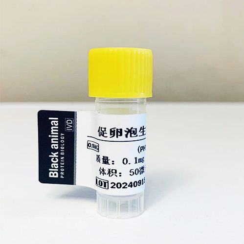 促卵泡生成激素（FSH）抗原-β链；促卵泡生成激素；FSH-Ag（β）  0.1mg ＞150IU  