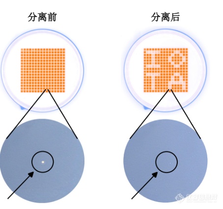 单细胞可视化分选系统——isoPick