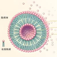 脂质体包裹藤黄酸
