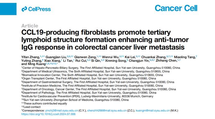 Cancer Cell | 空间组学TissueCytometry助力揭秘：CCL19 成纤维细胞如何改写结直肠癌肝免疫治疗格局
