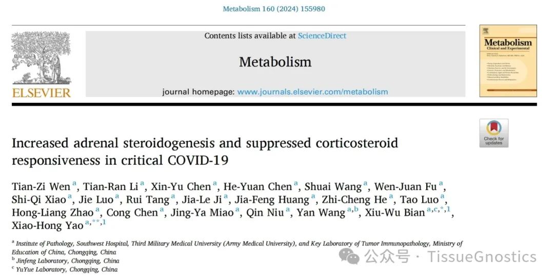 陆军军医大学卞修武院士团队新冠重症患者肾上腺病理研究新发现--TissueGnostics 技术助力解析病变机制