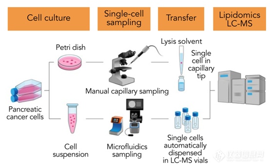 单细胞可视化分选系统——isoPick