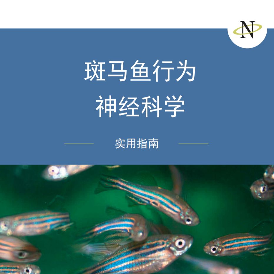 斑马鱼行为神经科学操作指南
