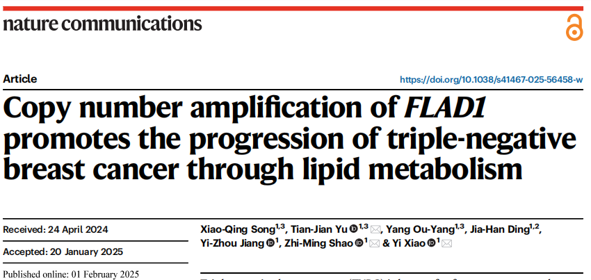 燃爆！nat. commun. | “复旦分型” 领航，邵志敏团队借FLAD1再探三阴性乳腺癌抗癌新征途