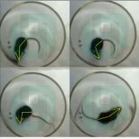 动物转圈行为检测系统