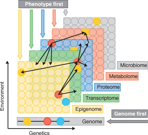 疾病表型研究必备—代谢组学（Metabolomics）