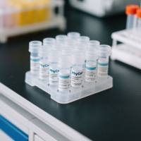 鼠抗白介素-6单克隆抗体；白介素6抗体；白介素抗体；IL-6-McAb