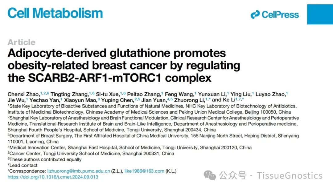 北京协和医学院李珂及李卓荣团队解析肥胖乳腺癌机制，TissueCytometry多色技术助力研究