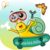 【4重好礼】义翘神州18周年庆福利直播，立即预约！