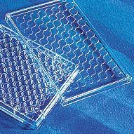 Mouse IL-1 beta Valukine ELISA Kit