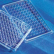 Mouse Angiopoietin like-3 ELISA Kit，Valukine™