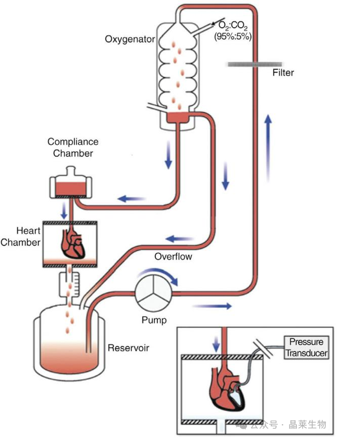 640_wx_fmt=png&from=appmsg (1).png